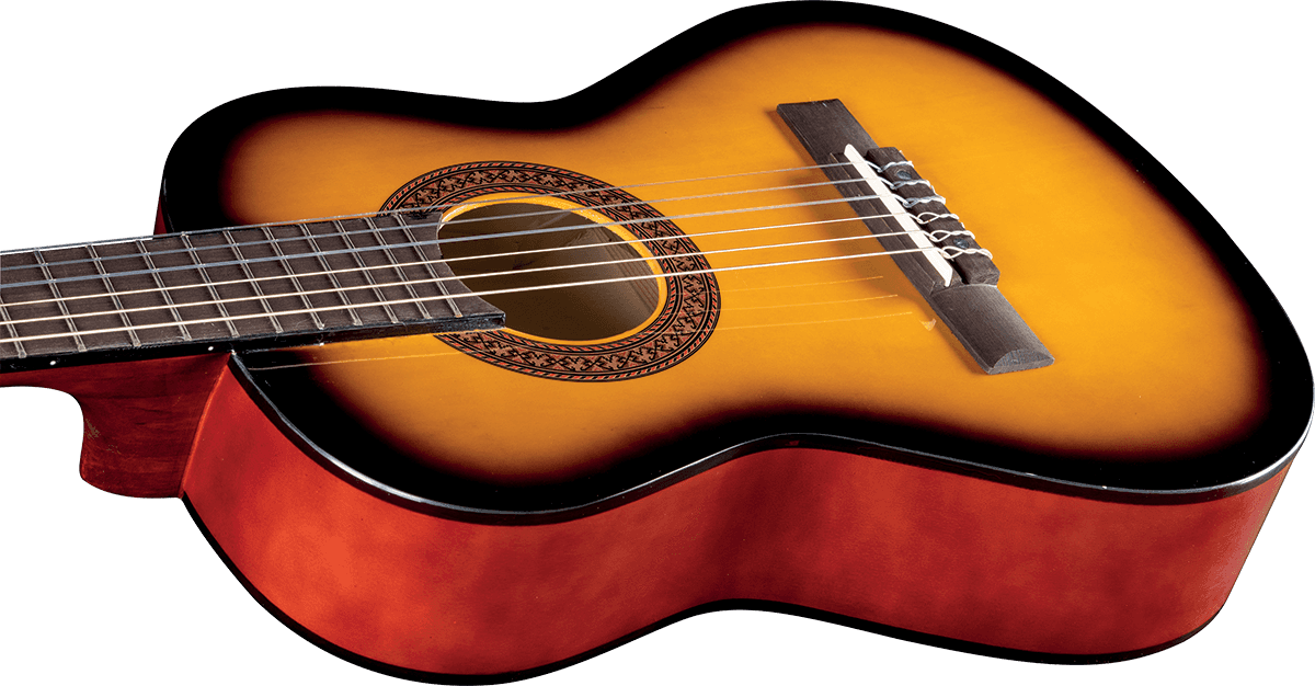 CS-2 1/2 Sunburst + Gig Bag