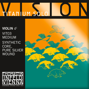 Vision Titanium Solo 4/4 - D Silver (3)