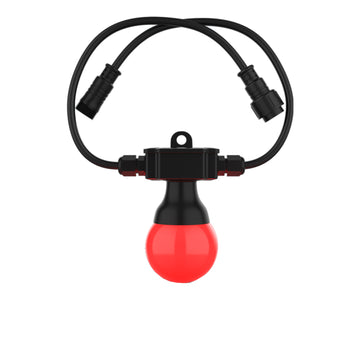 Festoon 2 RGB