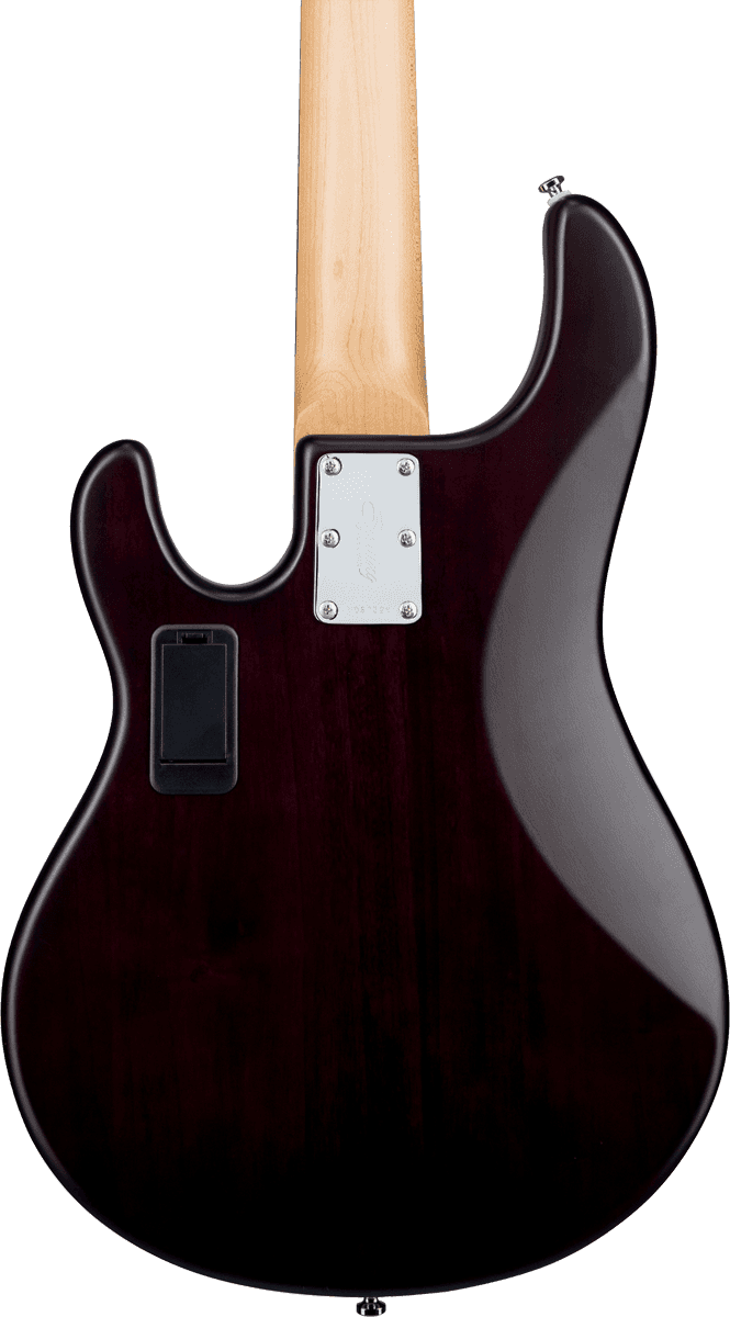 Stingray5 In Walnut Satin 5-String