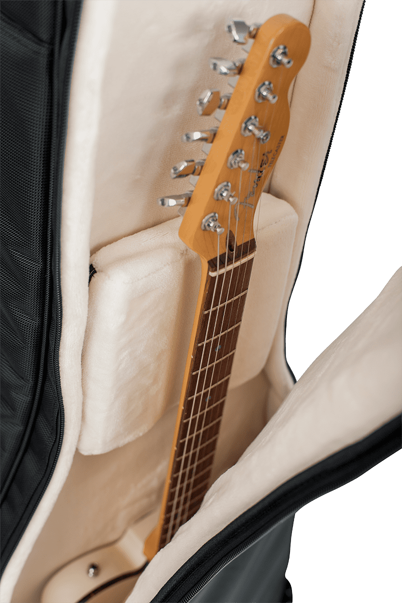 Electric + Folk Double Gigbag - ProGo