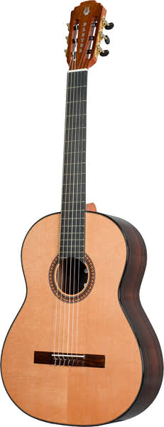 Pleyel P800 Expression 4/4 + Gigbag
