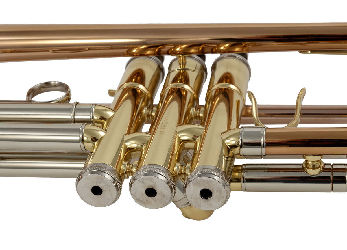 WTP400 - Si B Varnished (Copper Pink flag)
