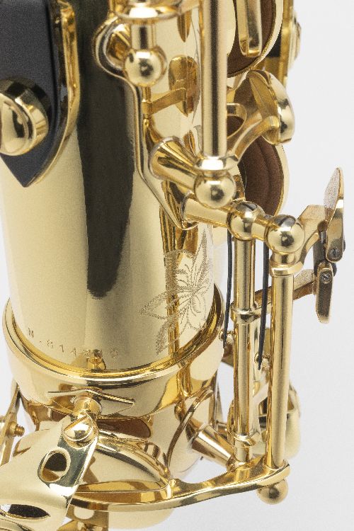 Axos - Bb Tenor Lacquered