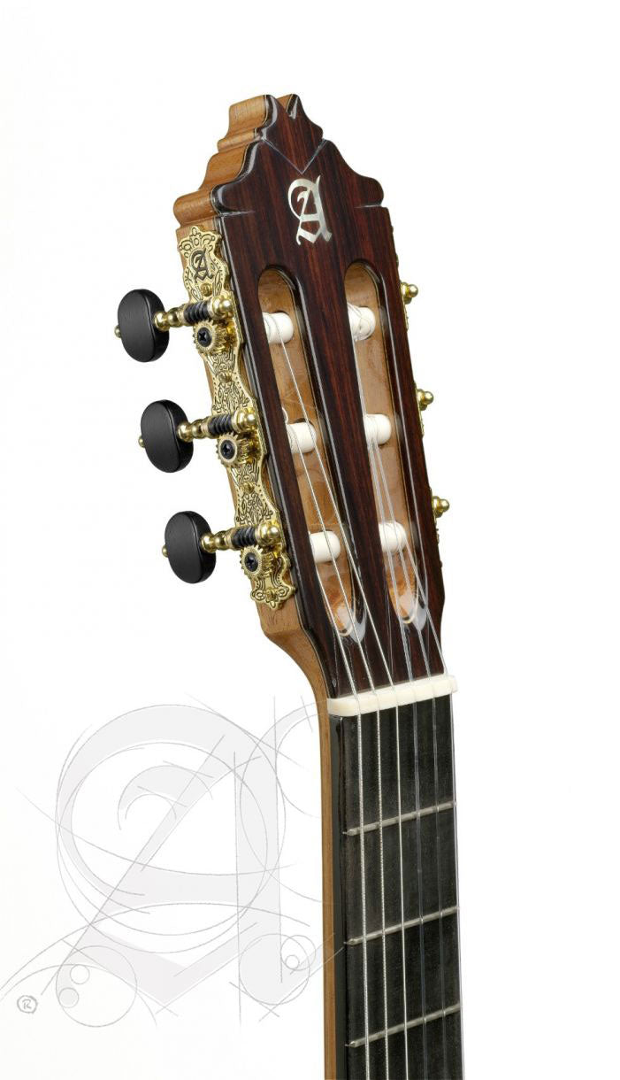 Concert 9P 12 1/2 Requinto + 9569 Case