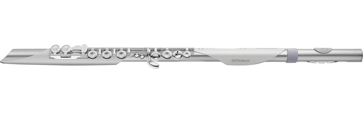 Roland AE-BRISA Aerophone Brisa