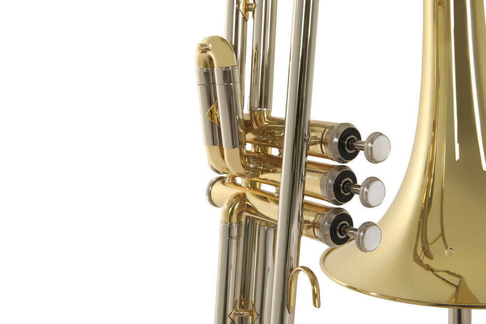 Ambition VT501 Tenor B♭ Lacquered