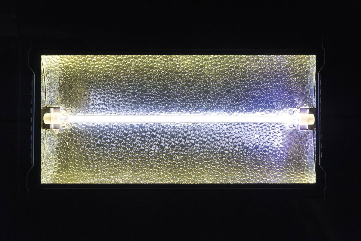 Titan Strobe Blaze