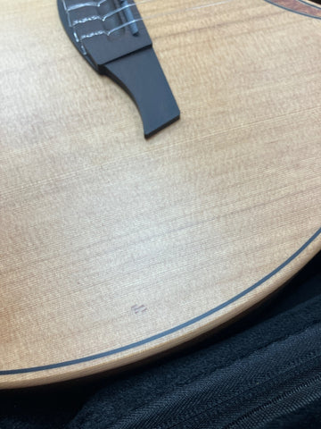 Escapade Nylon Red Cedar Acoustic Electric - B Stock