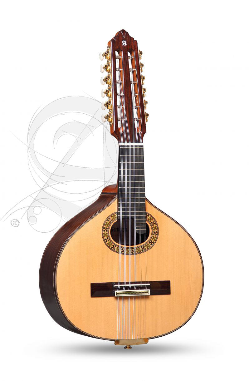 Concert 11P A Bandurria + 9563 Gigbag