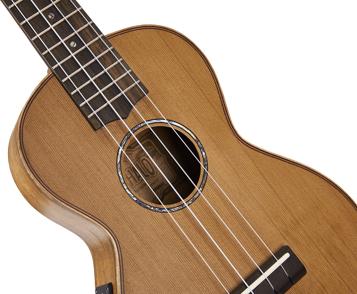Concert Natural Electro + Gig Bag