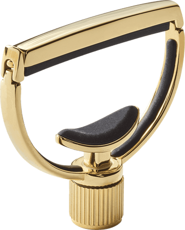 Heritage Guitar Style 1 Wide Gold
