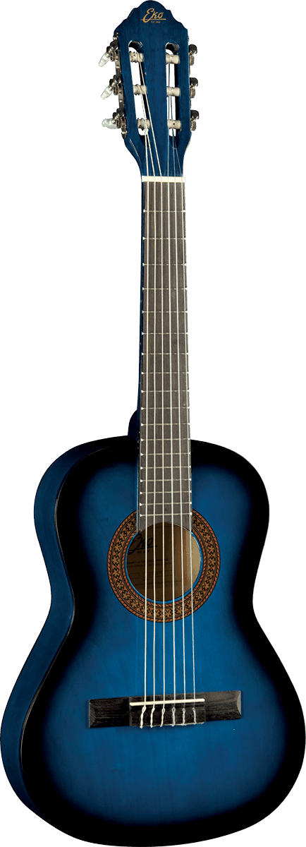 CS-2 1/2 Blue Burst + Gig Bag