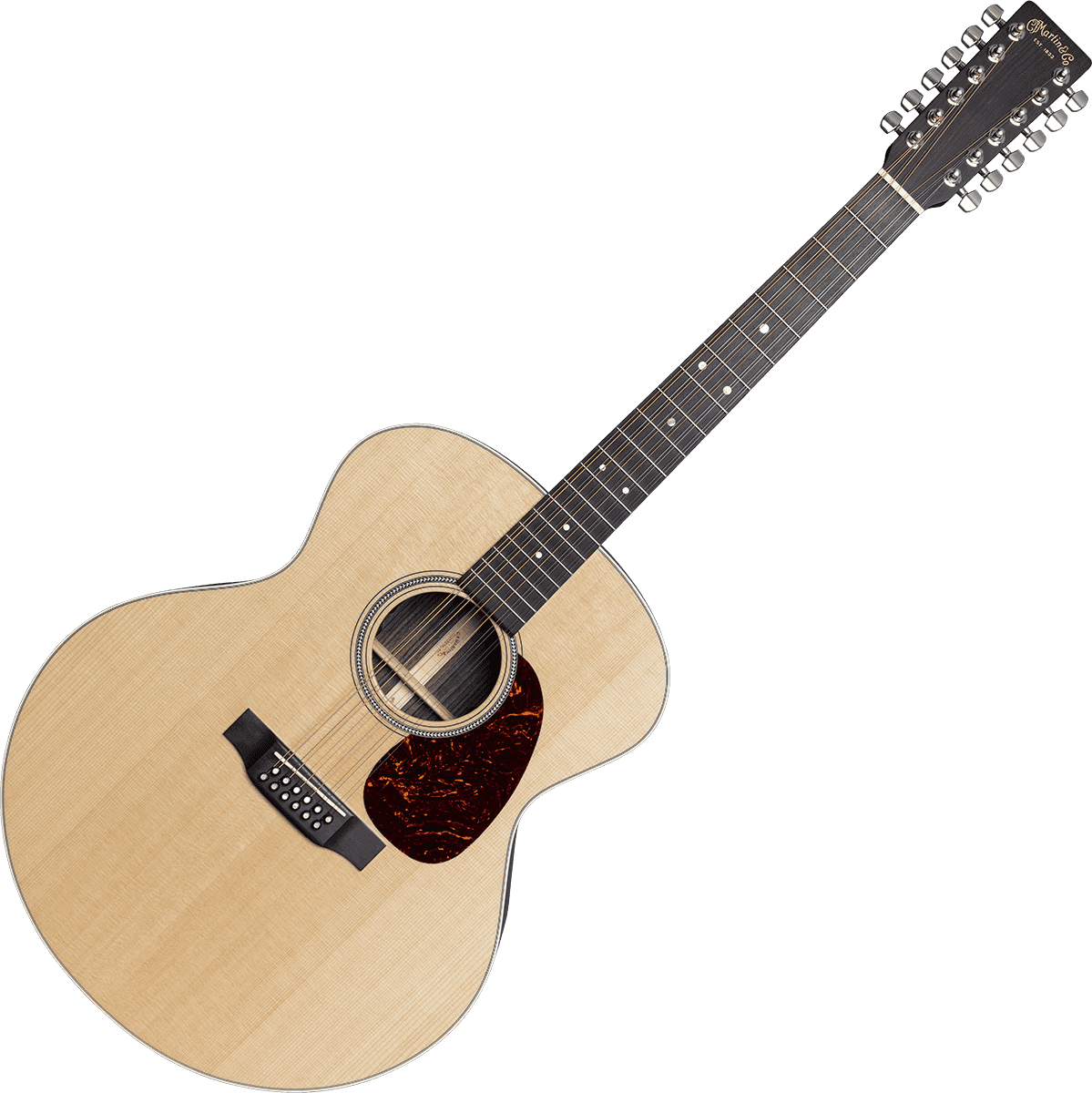 Grand Jumbo 12-String Acoustic-Electric