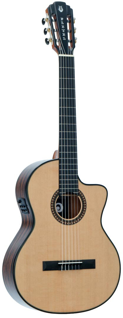 P800CE Expression + Gigbag