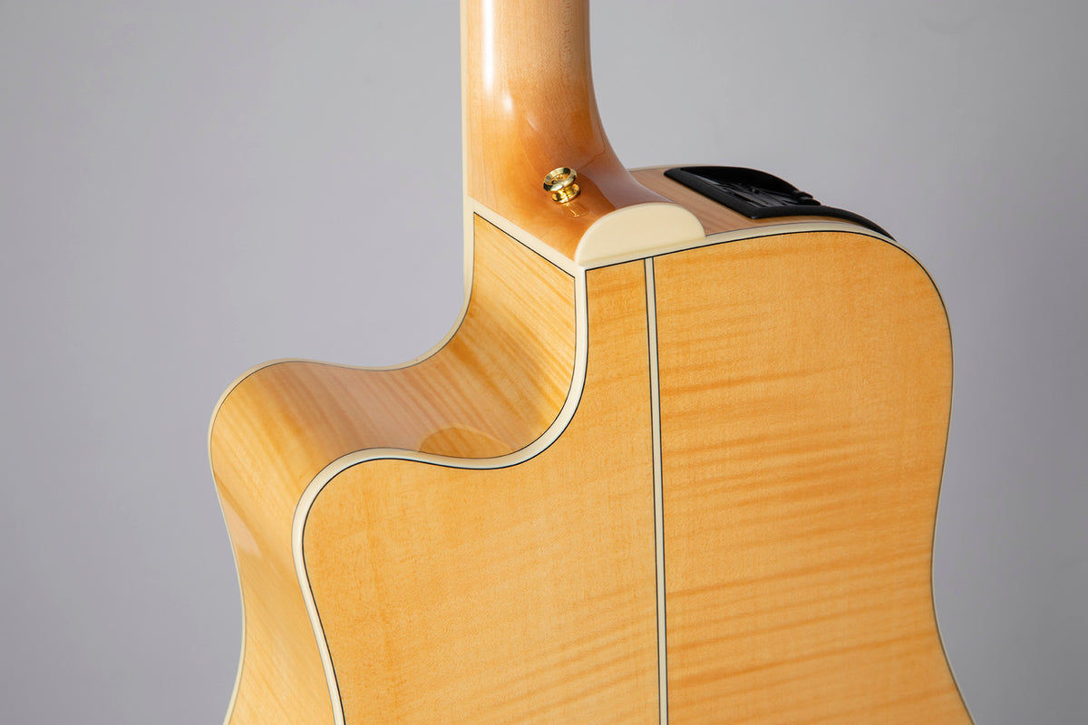 GD74CE-12 Dreadnought Strings Natural