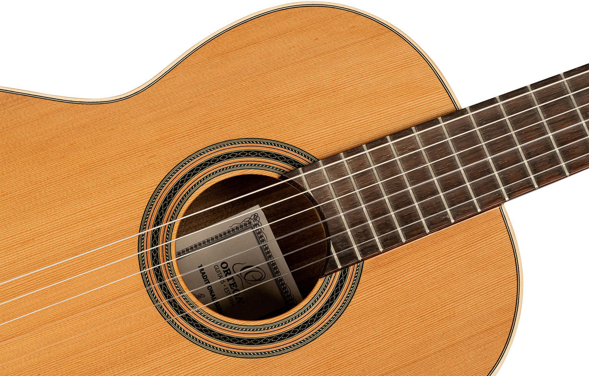 Traditional 4/4 + Pro Gig Bag