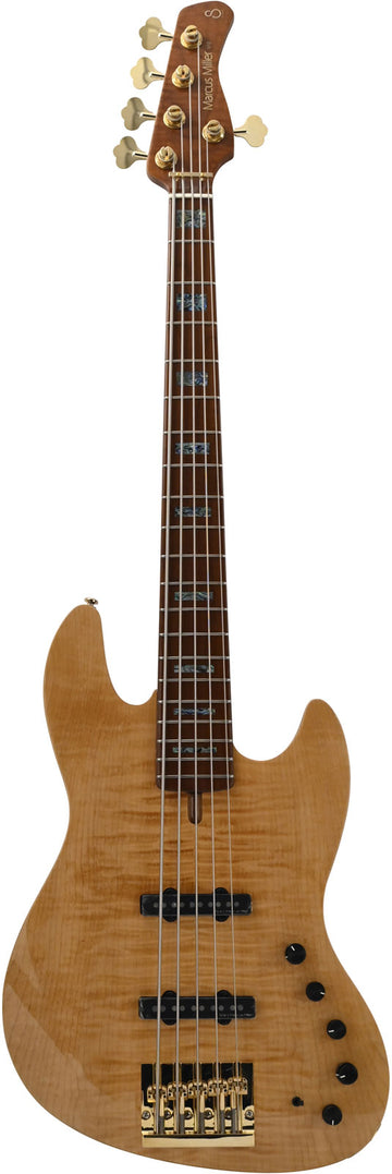 V10 Dx Swamp Ash-5 Nt Mn + Case
