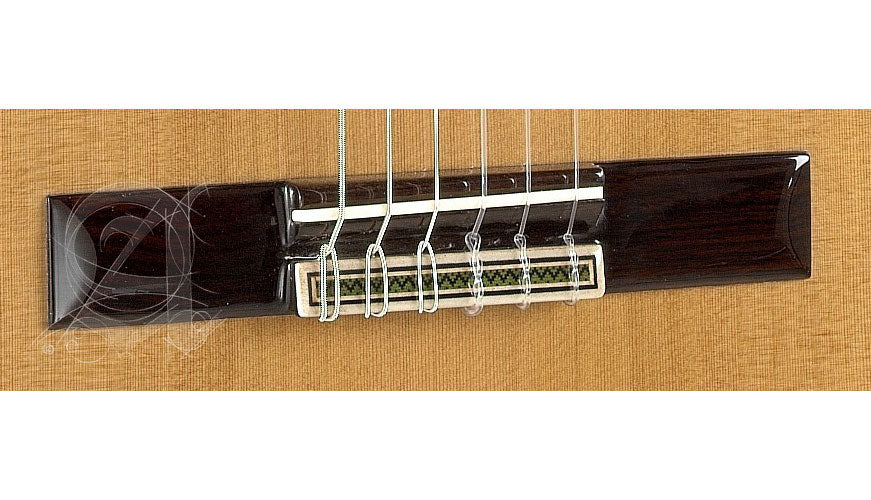 Concert 9P + 9557 Case