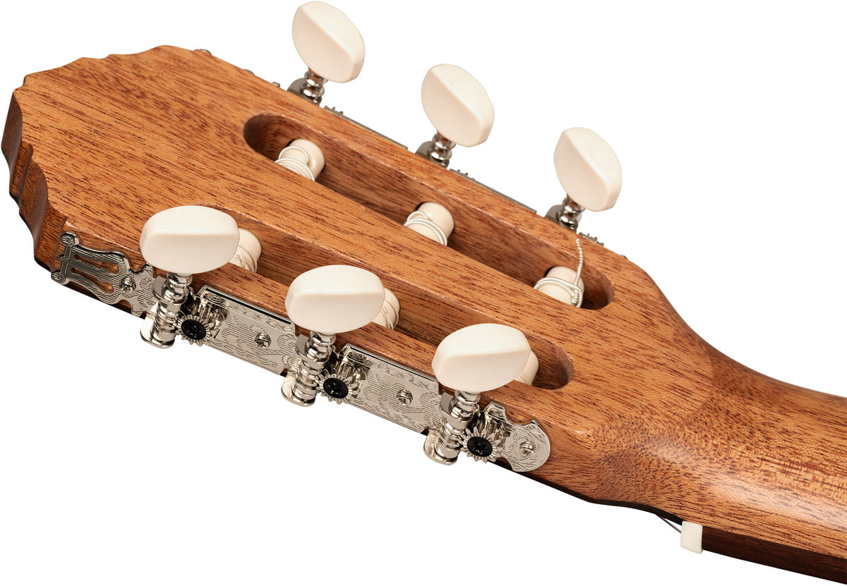 Traditional 4/4 + Pro Gig Bag
