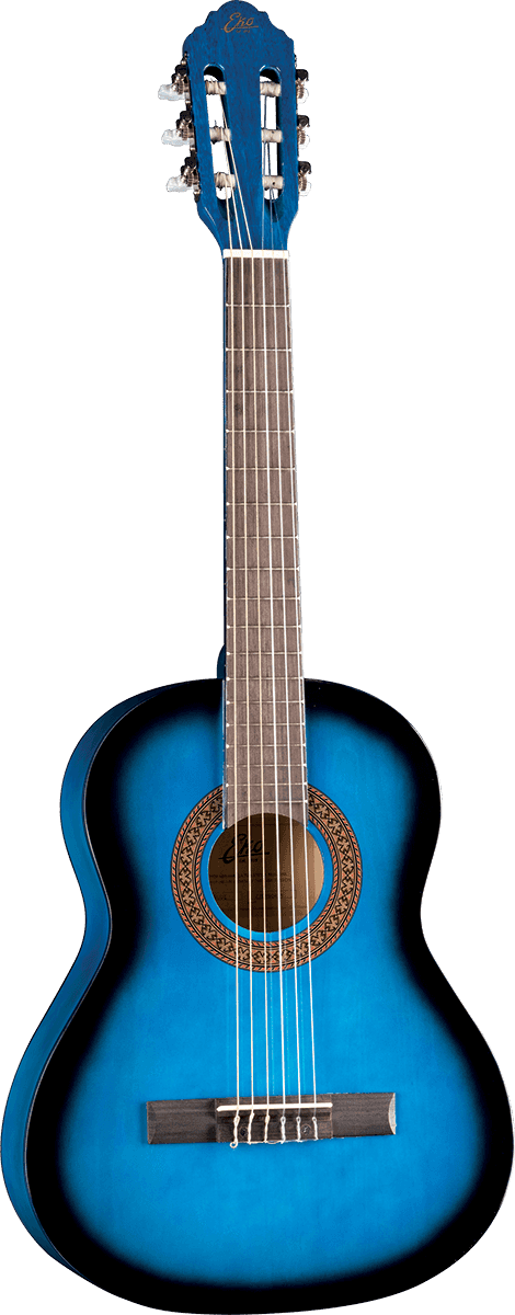 CS-5 3/4 Blue Burst + Gig Bag