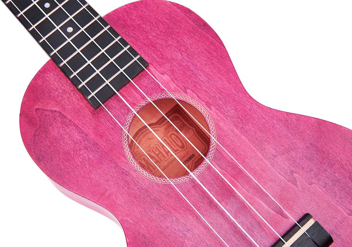 Ukulele Island Concert Cherry Red + Cover