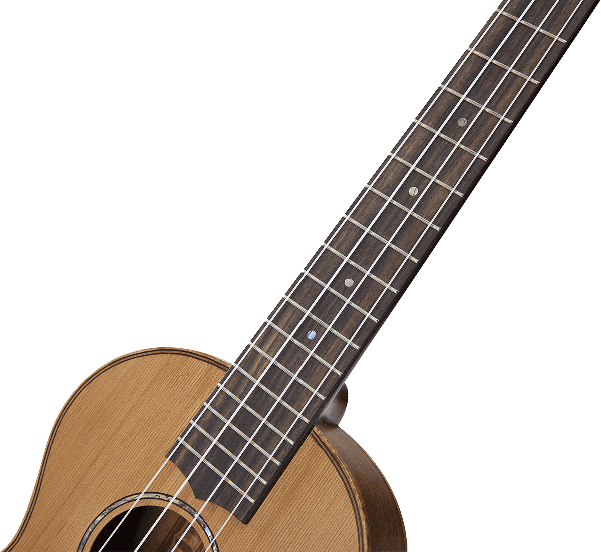 Natural Tenor + Gig Bag