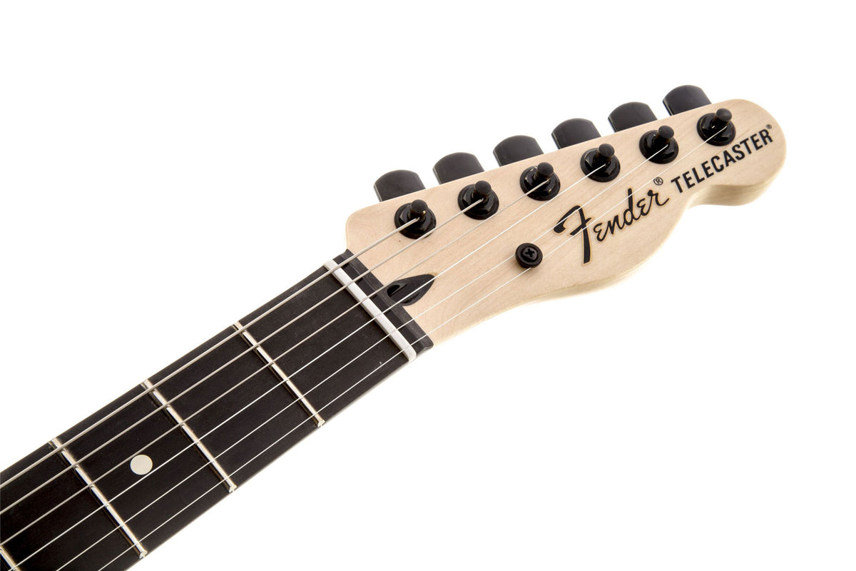 Telecaster Signature Jim Root Ebo Flat White
