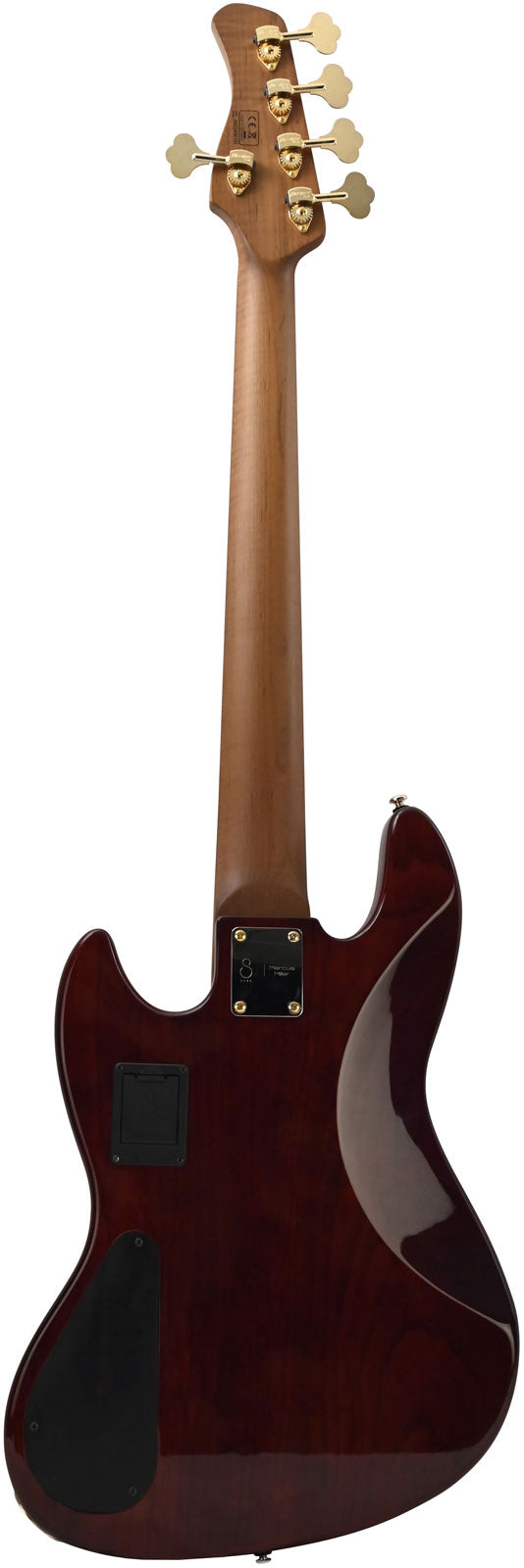 V1 Dx Swamp Ash-5 Fl Ts Mn + Case