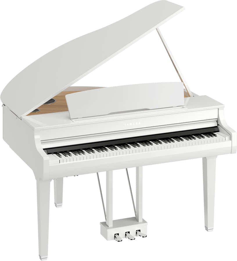 CSP295GP White