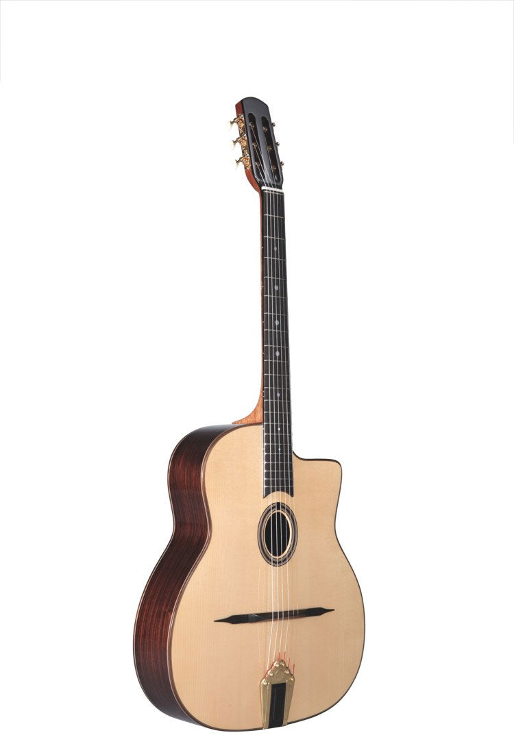 Gipsy M30 + Case