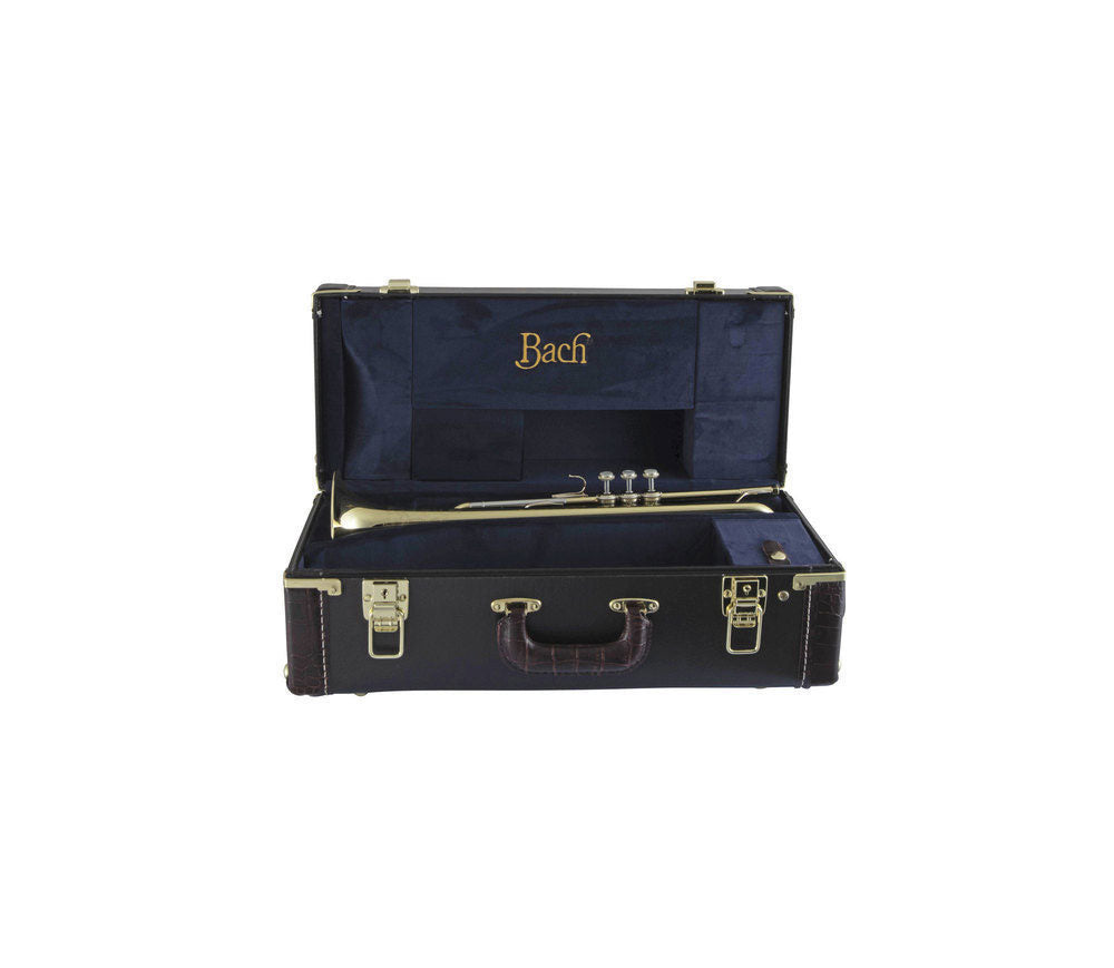 190S43 - Bb STRADIVARIUS CLEAR LACQUER