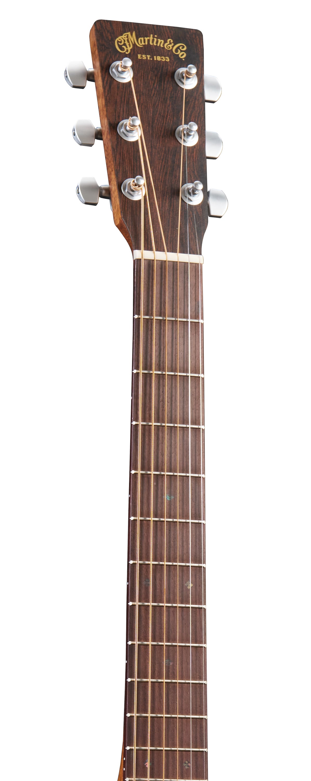SC-10E Modern Satin Spruce/Sapele