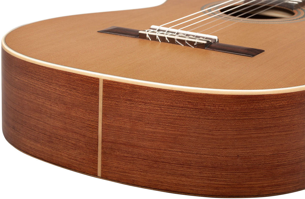 Traditional 4/4 + Pro Gig Bag