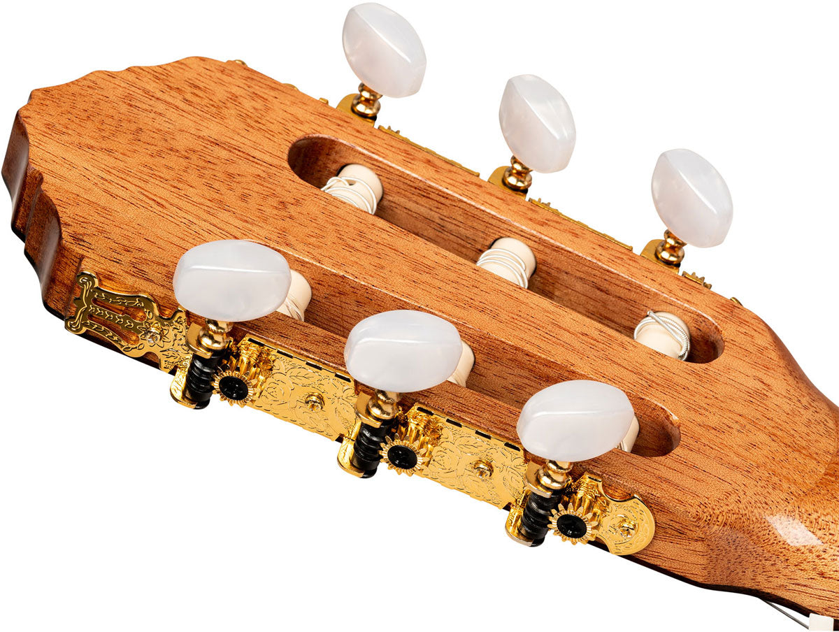 Traditional 4/4 + Pro Gig Bag
