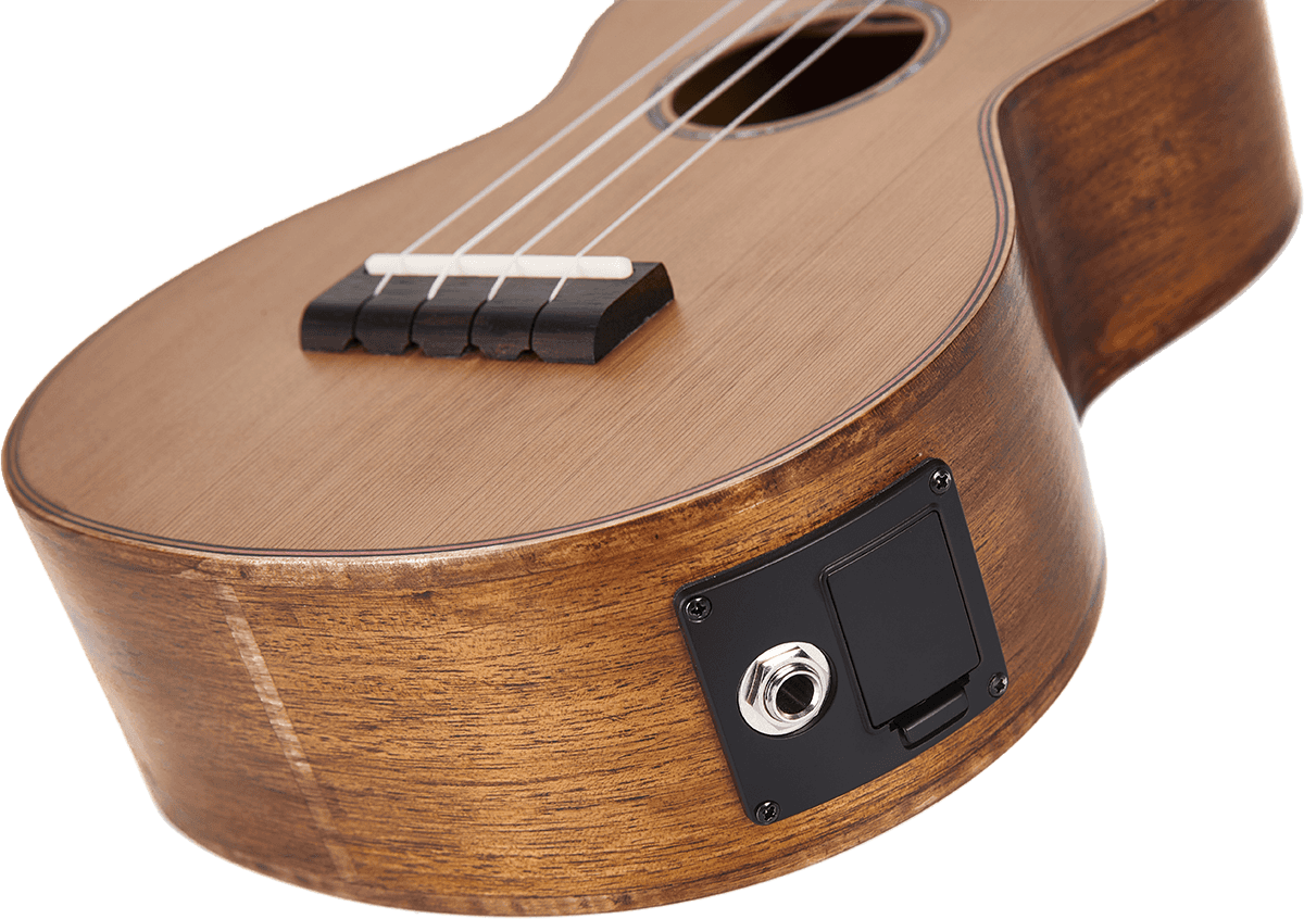 Natural Electro Baritone + Gig Bag