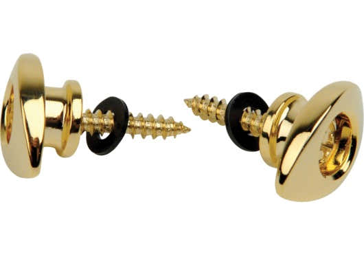D'ADDARIO Elliptical End Pins Gold