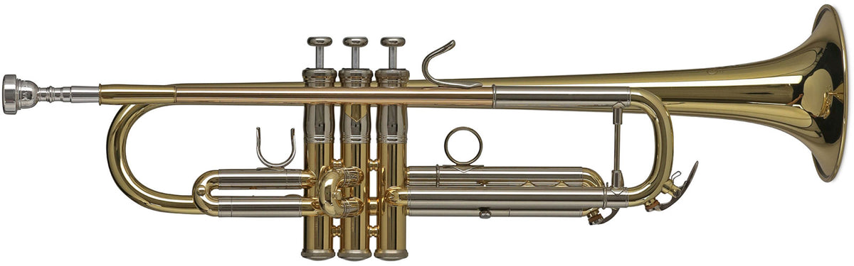 Vision TR372R Bb lacquered
