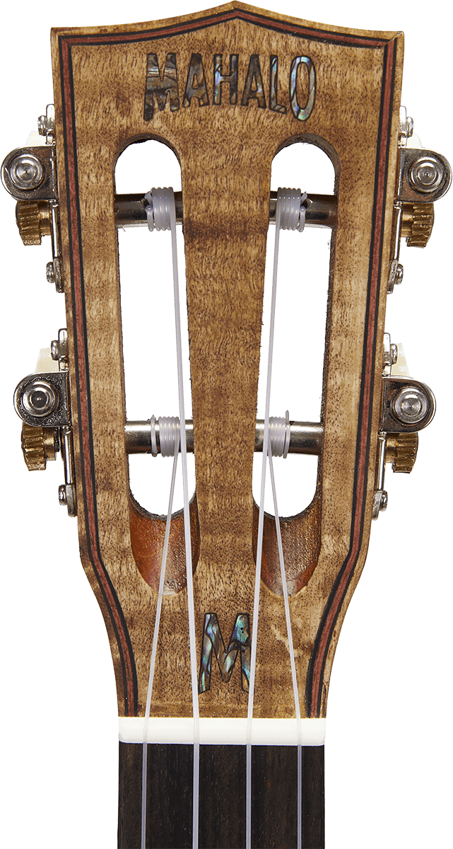 Natural Electro Tenor + Gig Bag