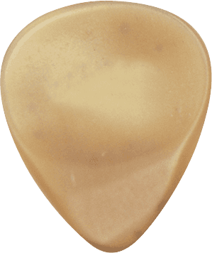 Dugain GUITAR  HORN