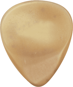 GUITAR  HORN