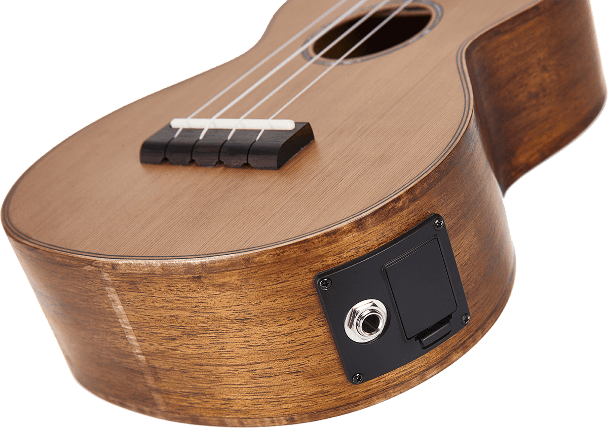 Natural Electro Tenor + Gig Bag