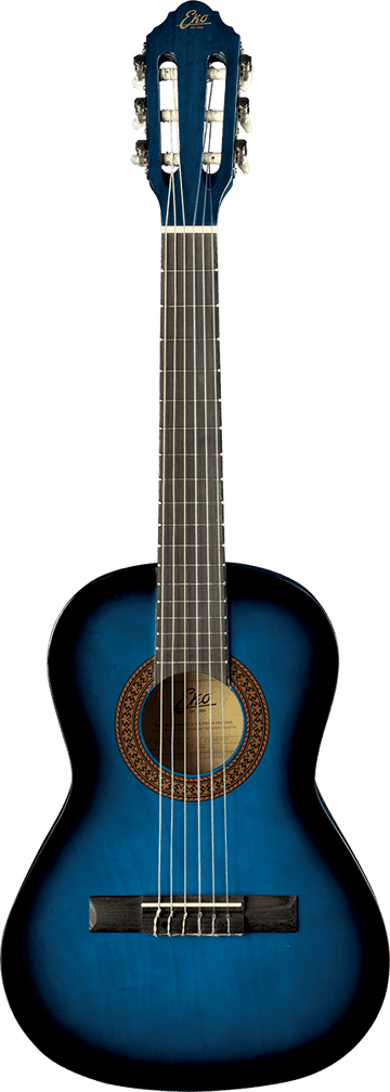 CS-2 1/2 Blue Burst + Gig Bag