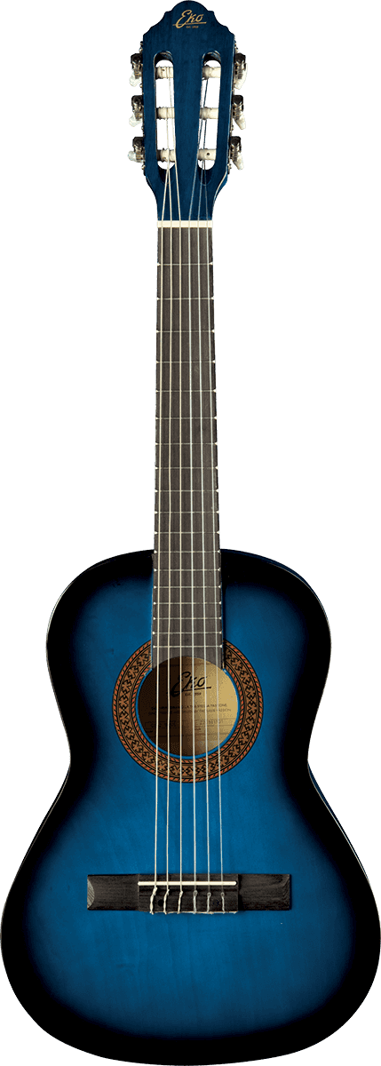 CS-2 1/2 Blue Burst + Gig Bag