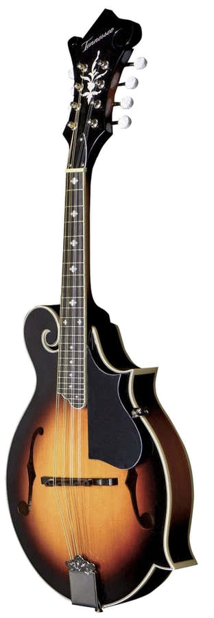 Mandolin F-1 Select Sunburst