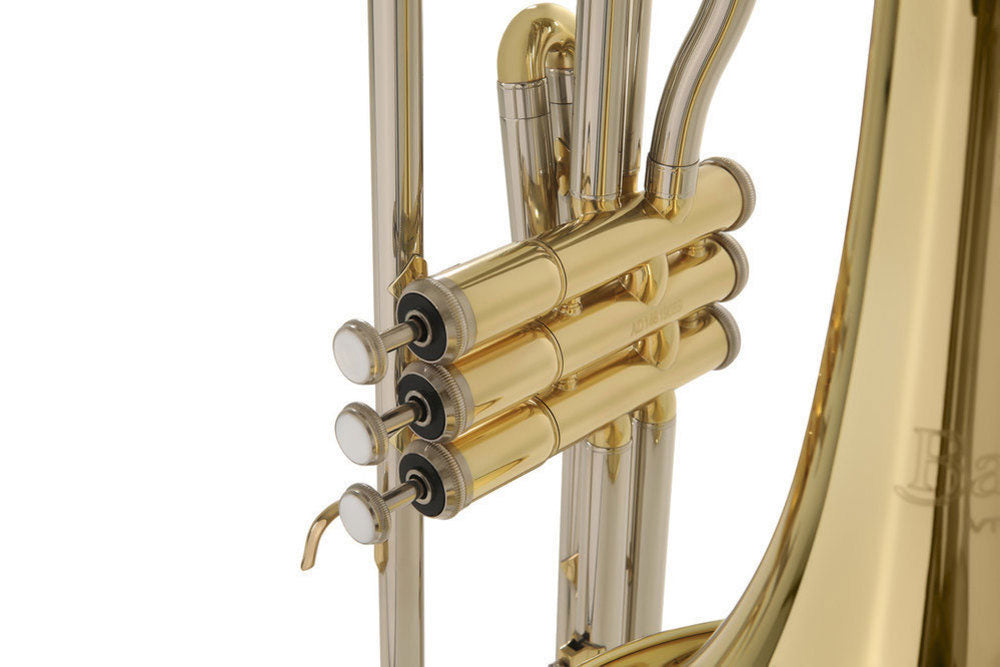Ambition VT501 Tenor B♭ Lacquered