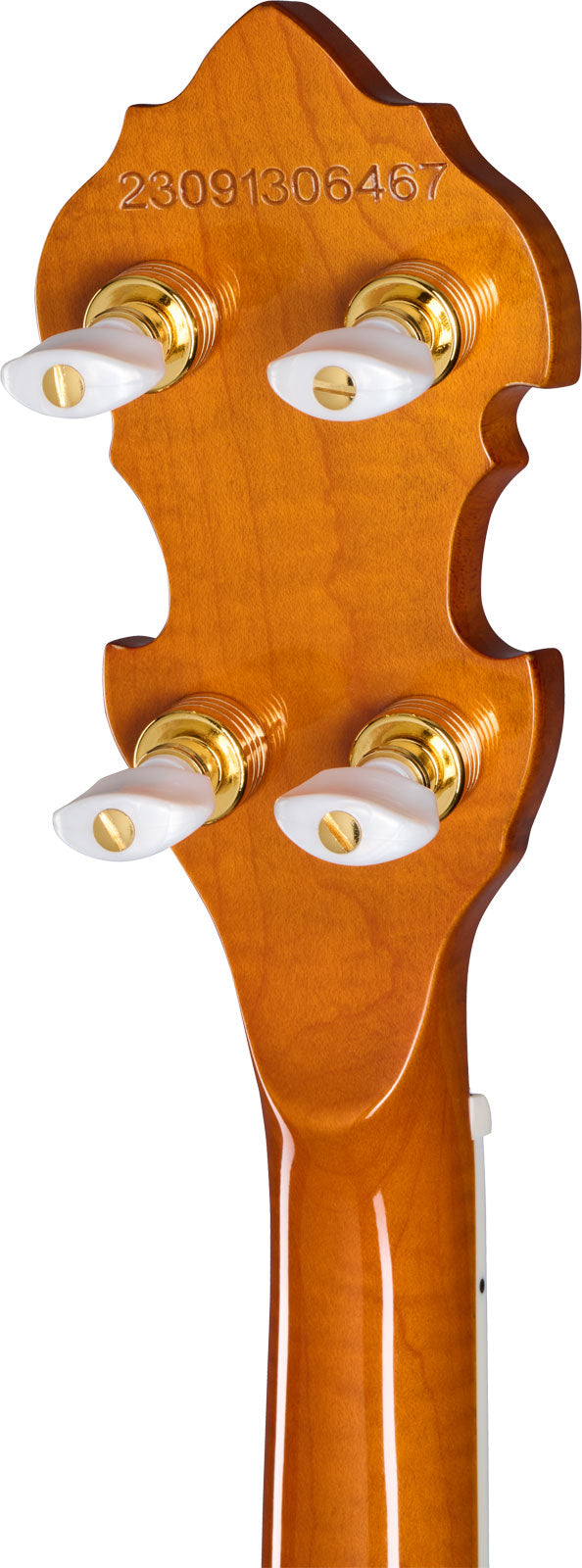 Earl Scruggs Golden Deluxe Banjo Natural Ibgcs