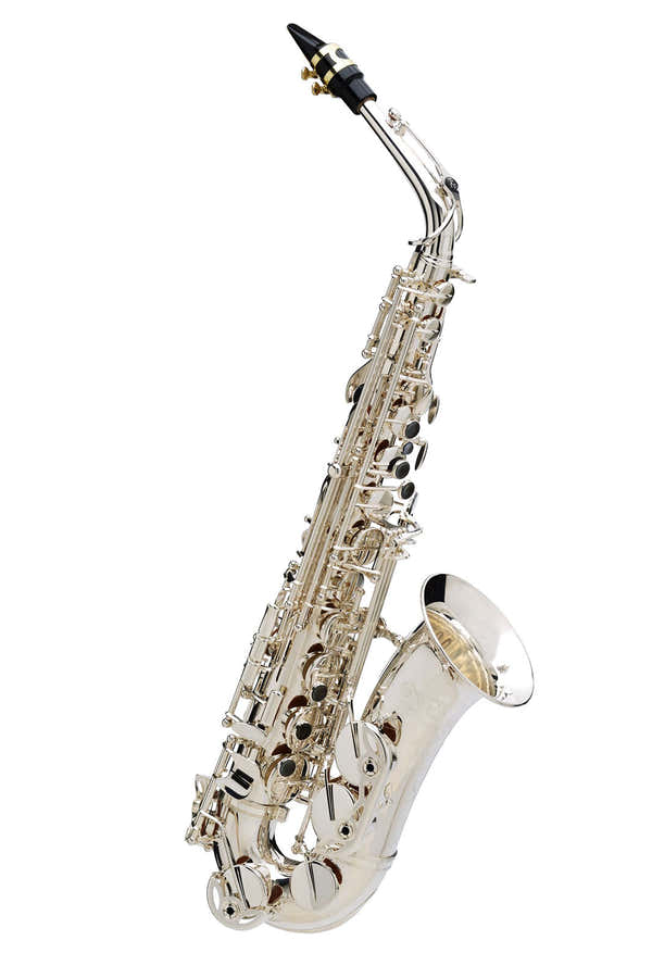 Senzo Silver-Plated - BC2525-2-0