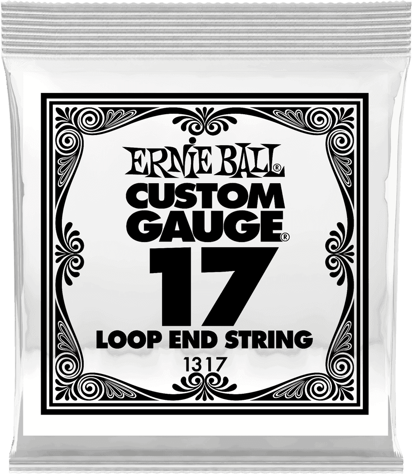 .017 LOOP END STAINLESS STEEL PLAIN BANJO OR MANDOLIN GUITAR STRINGS