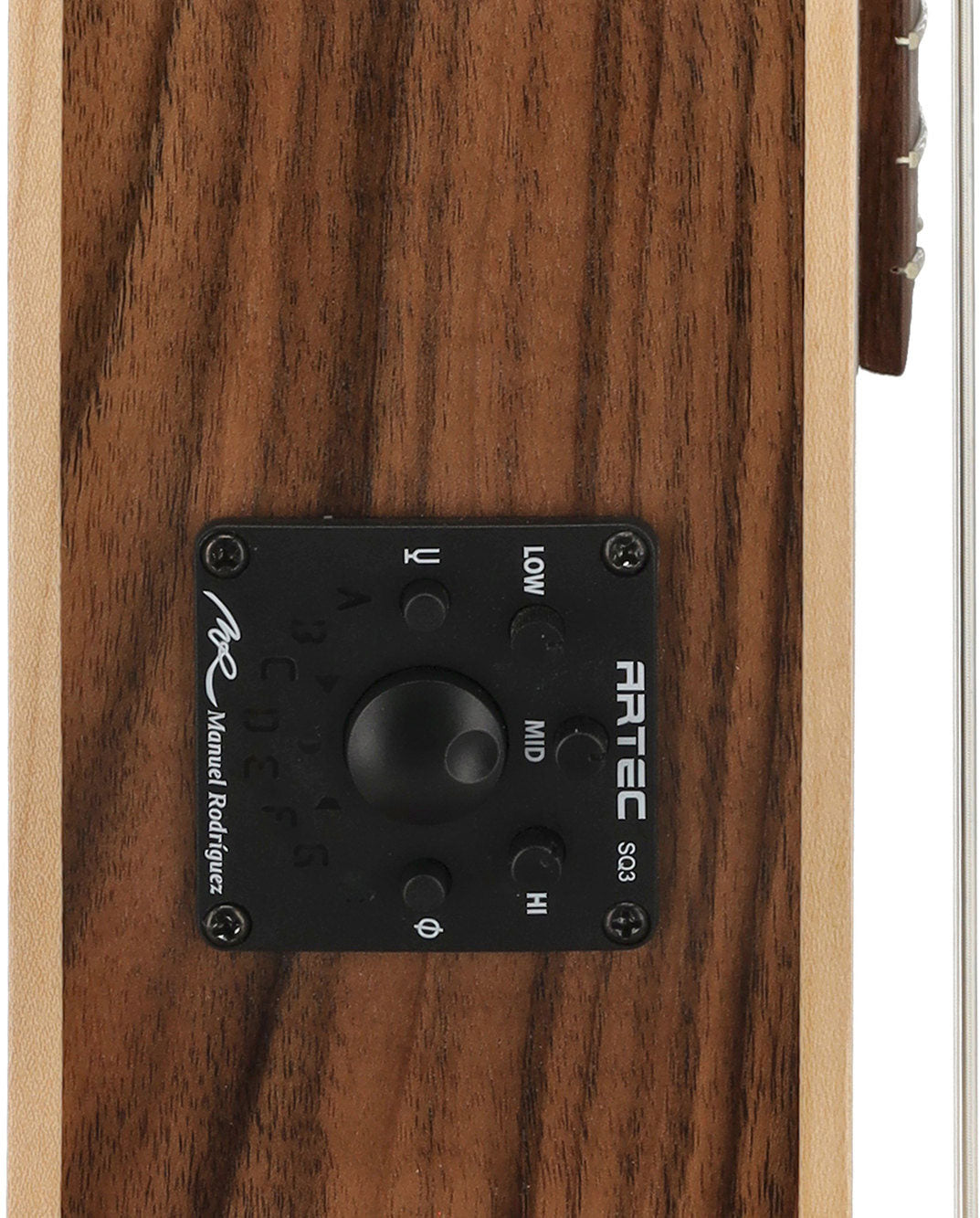 Samba Ecología Deep Electric Neck Cutaway